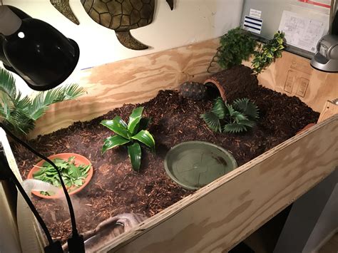 Indoor Enclosures 